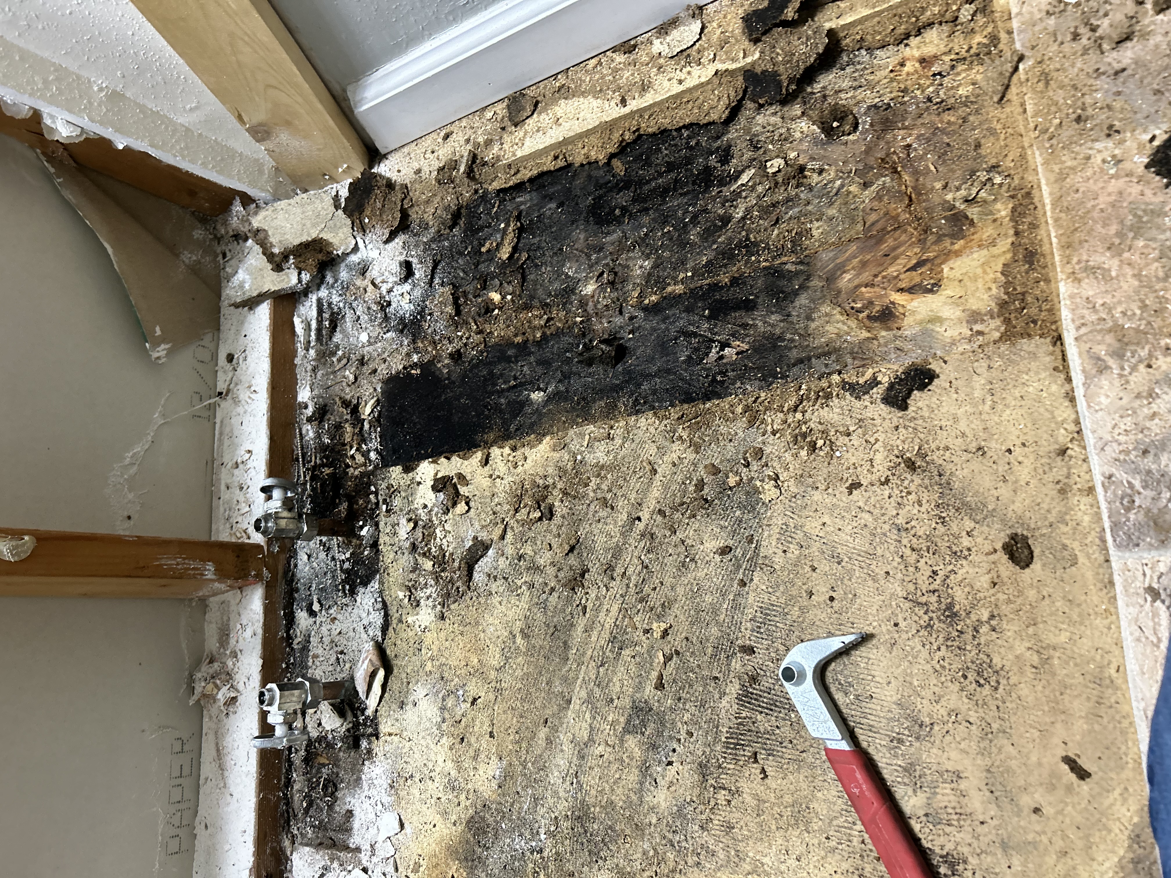 Bathroom remodel – water damage and rot removal